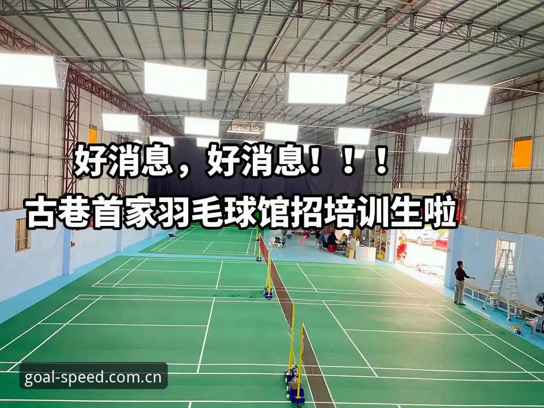 球速体育使用教程 球速体育官网登录与使用教程全面解析:从注册到高阶功能的深度指南